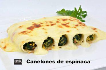 canelones de espinacas