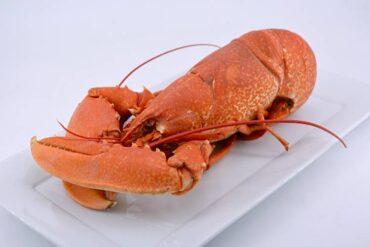 como cocer bogavante