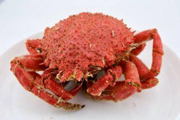 como un cocer centollo