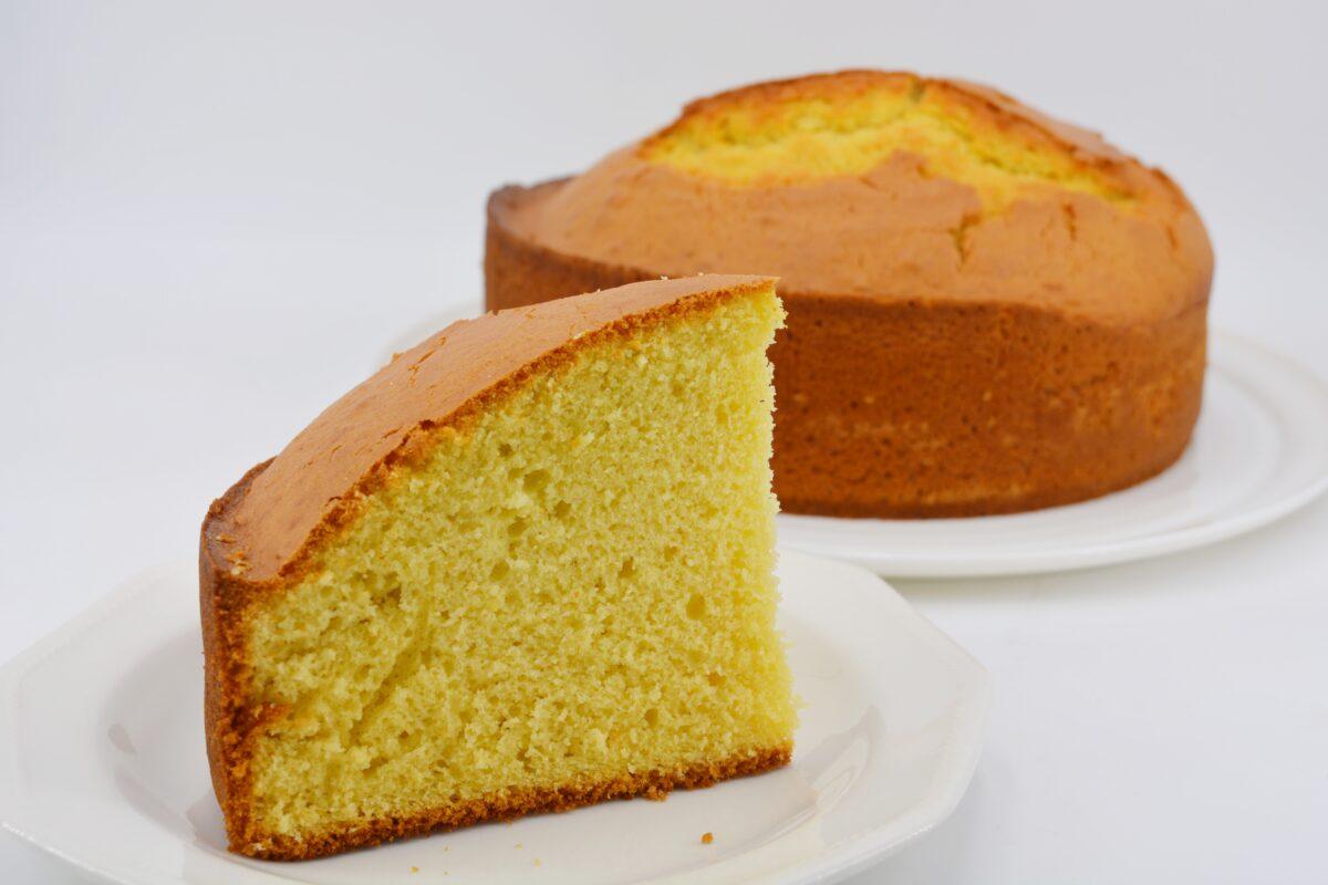 bizcocho de aceite de oliva gigante PRINCIPAL