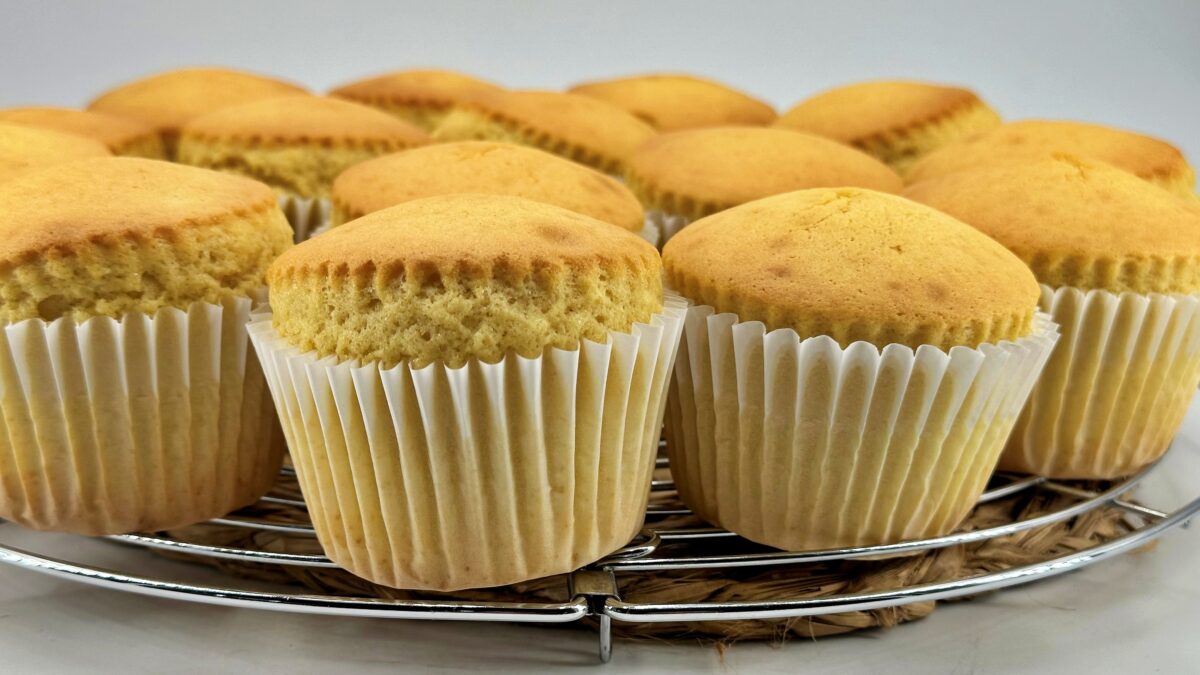 magdalenas gigantes principal