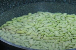 Verdinas con almejas y gambas paso 1