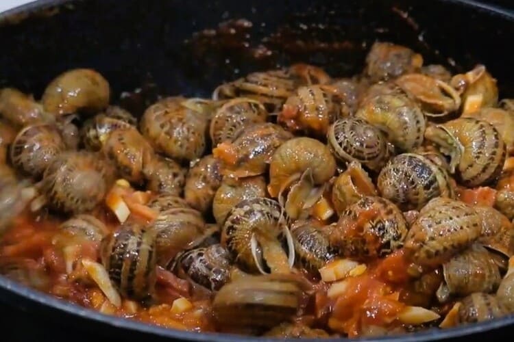 Caracoles a la riojana paso 6