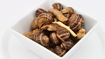 caracoles con cordero