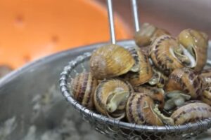 caracoles con cordero paso 1