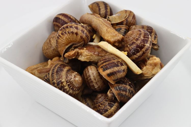 caracoles con cordero portada