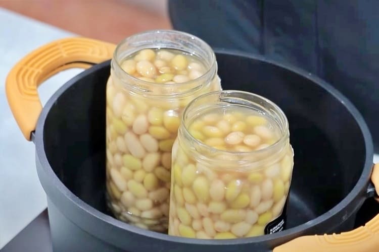 cómo cocinar pochas en conserva 1