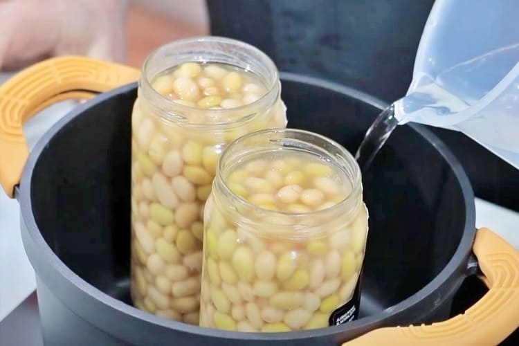 cómo cocinar pochas en conserva 4