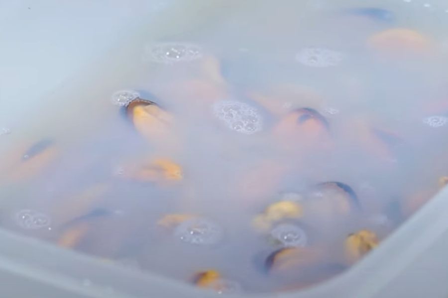 aperitivos con mejillones paso 2