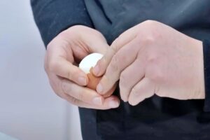 festival de la casquería paso 2