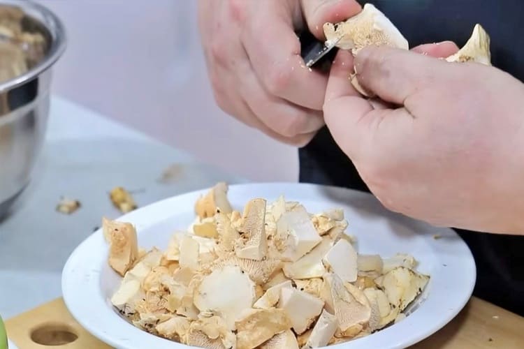 pollo relleno para Navidad 2